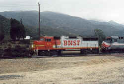 BNSF123.jpg (160305 bytes)