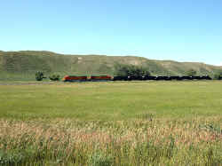 BNSF5637e.jpg (96767 bytes)