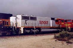 bnsf8291.jpg (78984 bytes)